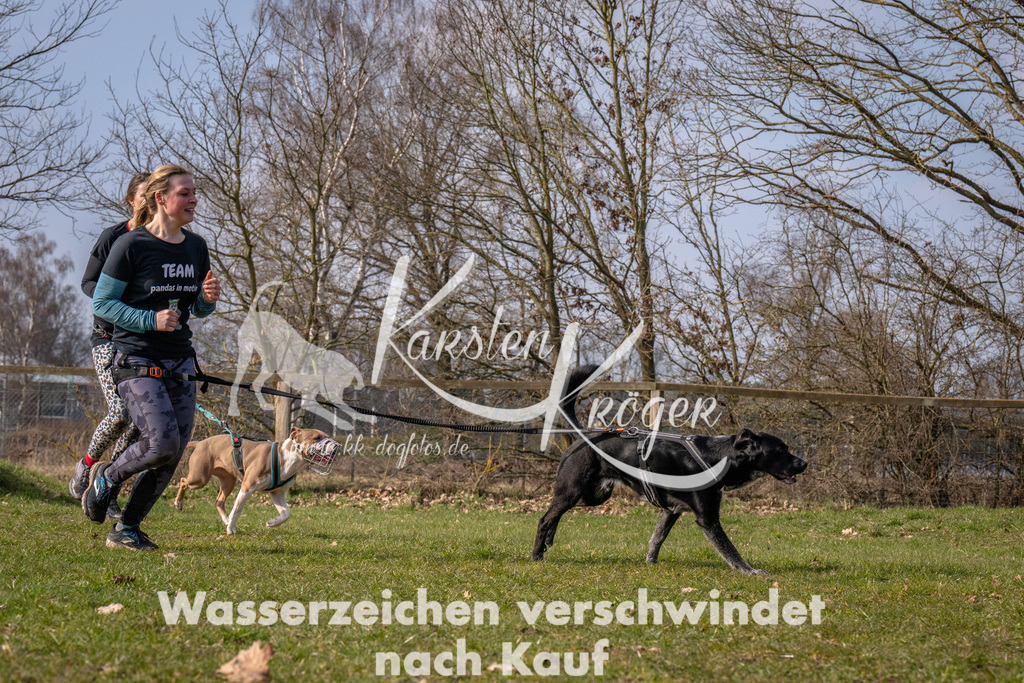 _ZZ90588 | kk-dogfotos