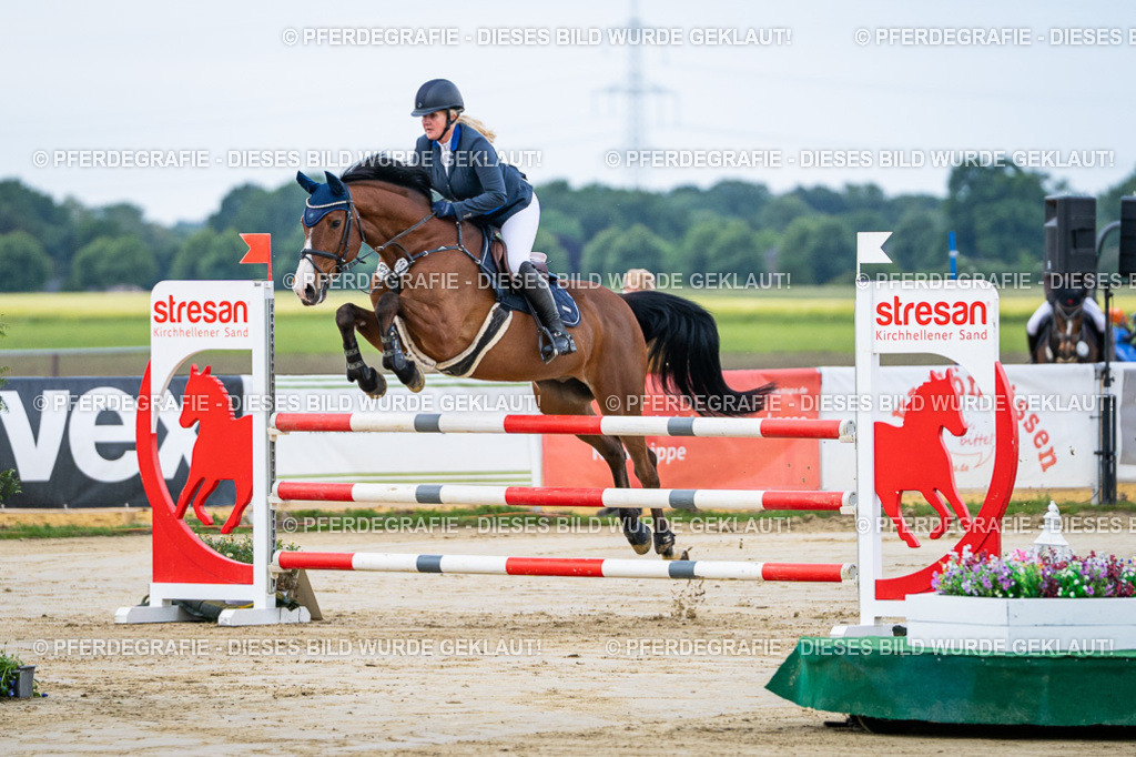 DSC03379 | Pferdegrafie