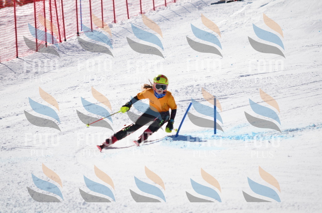 C9630 | holidayphoto