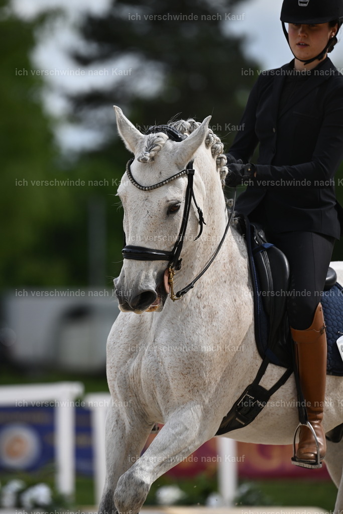 PI26_ST_Sara_Landvogt226_4003.JPG | working equitationturnier fotograf videograf stoibphotography marixx film working equitation deutschland reitsport turnierfotografie eventfotografie equestrian events