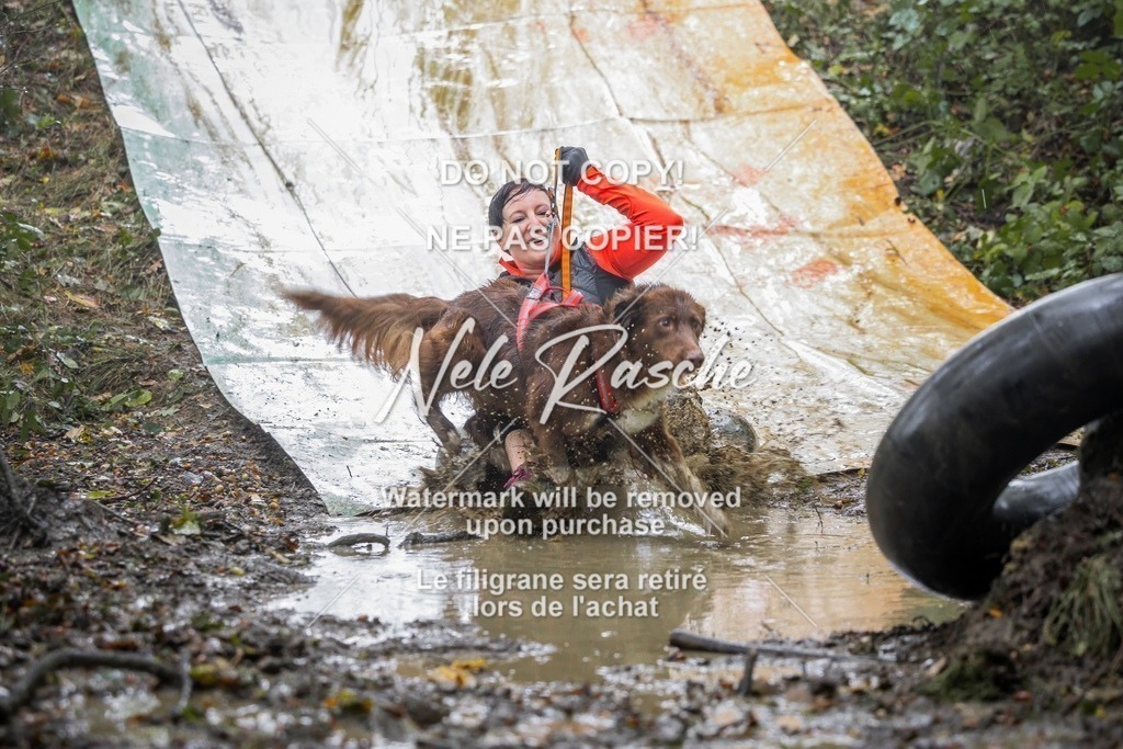 nelerasche_Hunsrück_Sa1230-1300_257-final | nelerasche