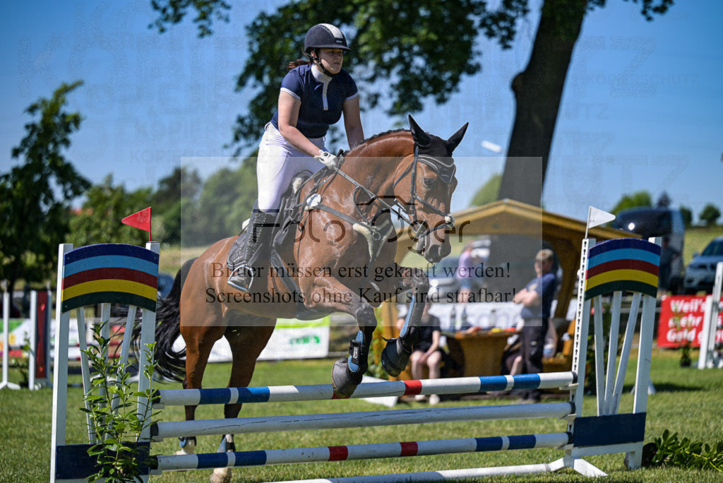 Reitturnier Voxtrup | Entdecke hochwertige Reitturnierfotos von Foto Oger. Professionell, emotional und authentisch – jetzt Lieblingsmomente im Shop bestellen. - Realisiert mit Pictrs.com