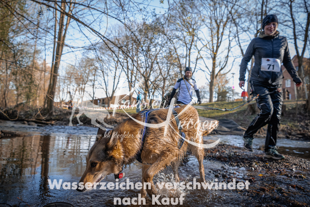 0816_ZZ90326 | kk-dogfotos