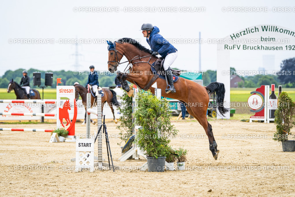 DSC06628 | Pferdegrafie