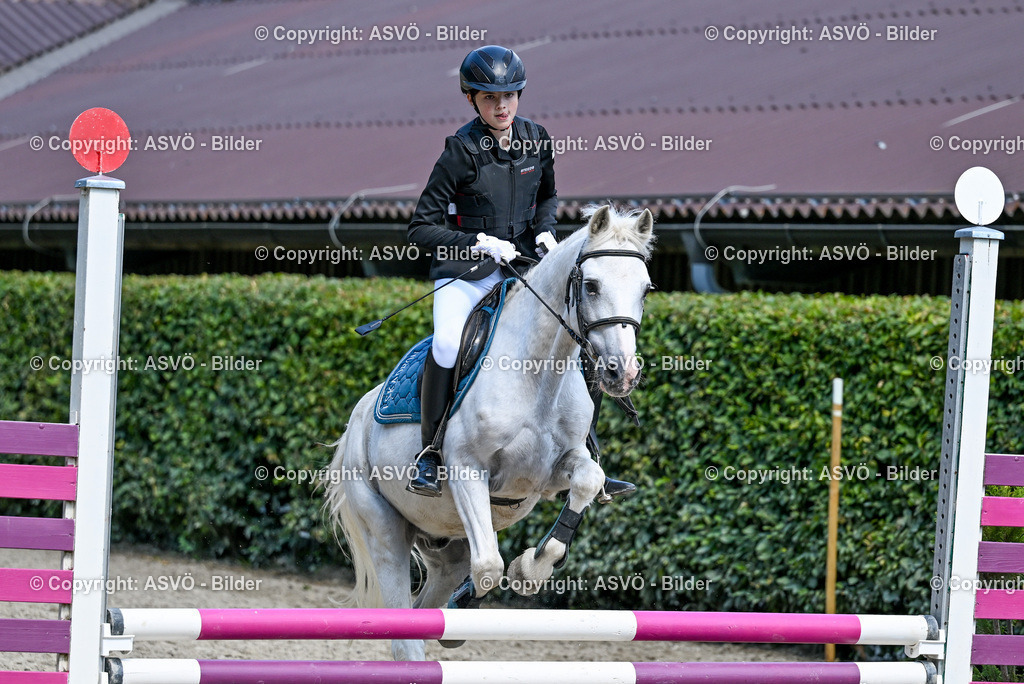 ASVÖ_ Reiten Bezirksmeisterschaft_ 24.08.2025-89 | 24.08.2025, AUT, ASVÖ, Reiten Bezirksmeisterschaft 2025Dressur und Springreiten©fodo.media / Harald Dostal - Realisiert mit Pictrs.com