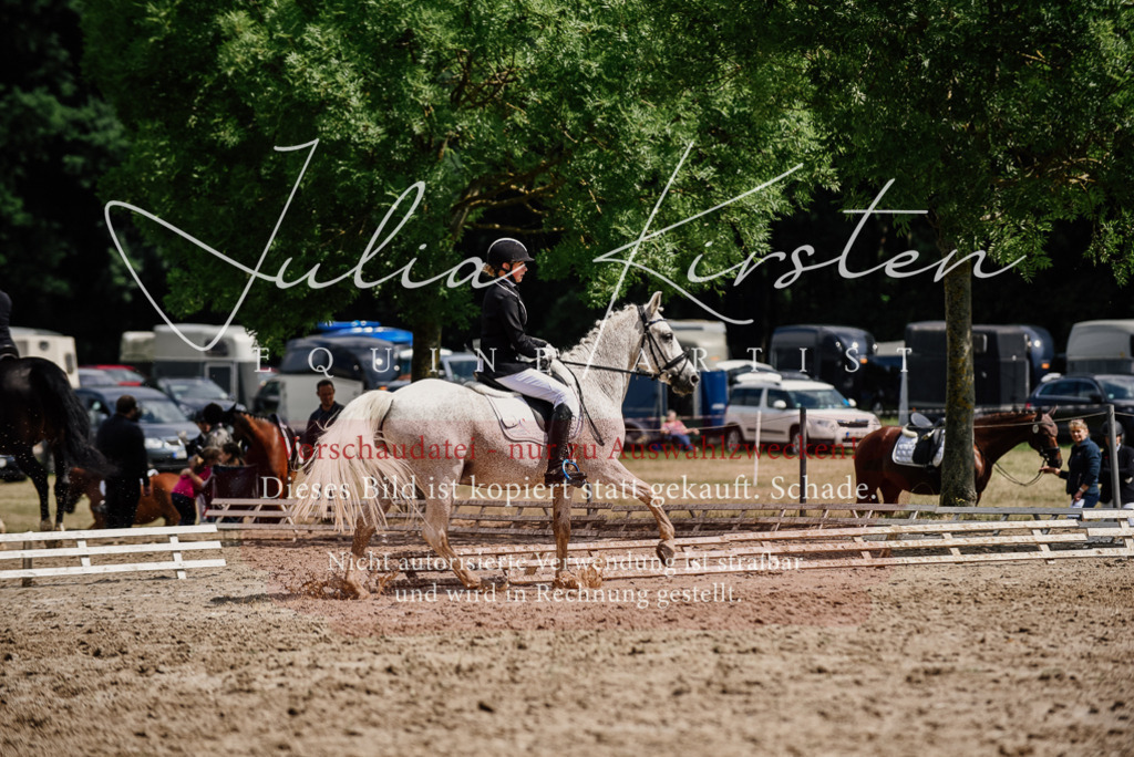 DSC_0554 | Pferde- und Turnierfotografie in Westsachsen. Pferdeportraits, Auftragszeichnungen und intuitive Kunst.