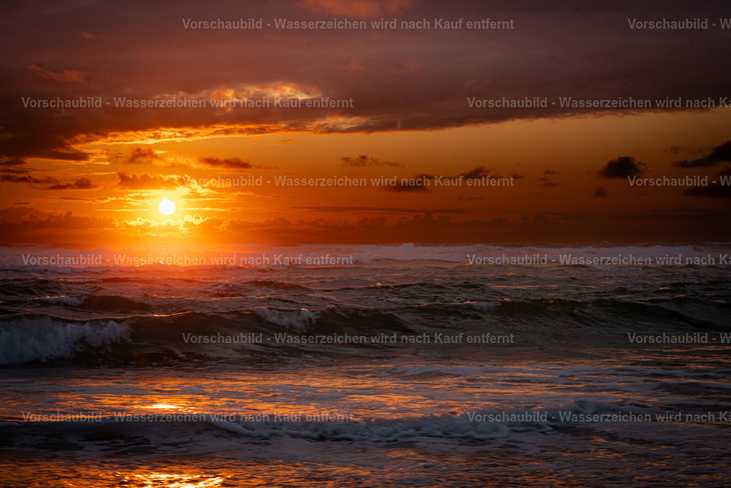 DSC02039 | marcuslinek