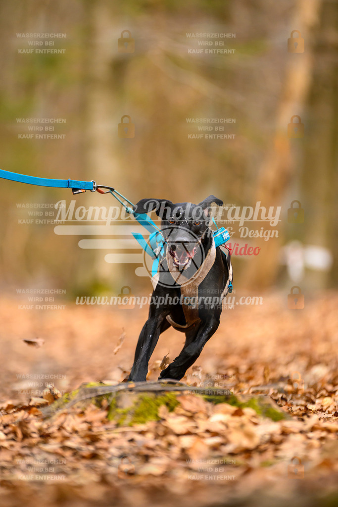 MompixPhotography_Habay2025_SA_Bike-69 | PayLife