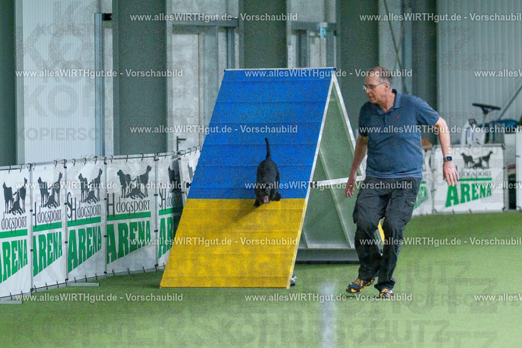@allesWIRTHgut_Tierfotografie - www.allesWIRTHgut.de - 2604260825-7R506852 | Professionelle Tierfotografie in Mönchengladbach von Daniel Wirth (allesWIRTHgut). Liebevolle & natürliche Bilder von Hunden & Katzen für unvergessliche Erinnerungen.