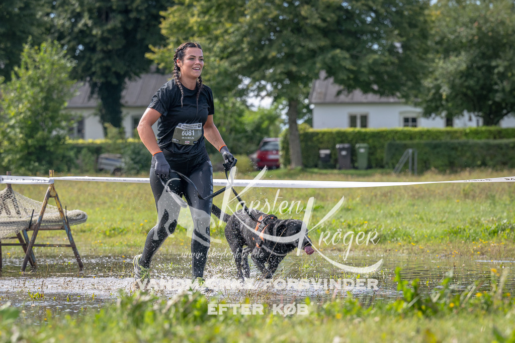 1154_ZZ90354 | kk-dogfotos