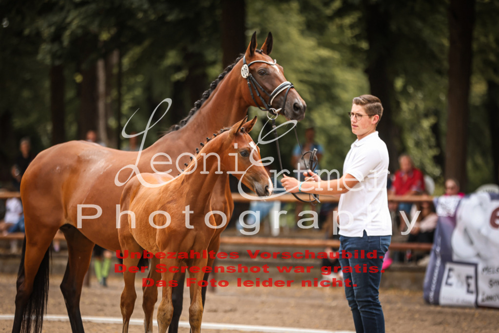 SaFohlen00067 | Leoni Ertmer Photography - Realisiert mit Pictrs.com