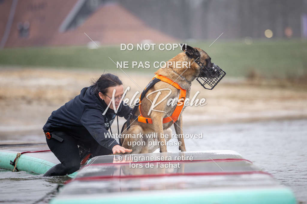 nelerasche_Hulsbeek_Sa0845-1030_385 | nelerasche