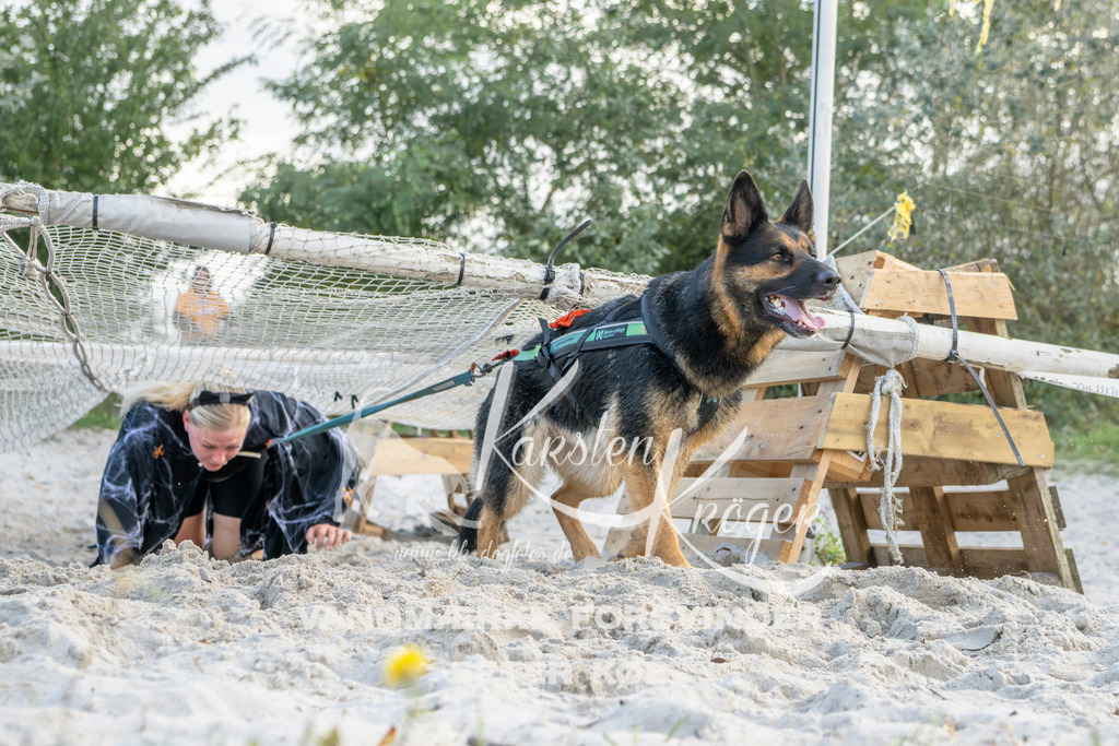 1622_ZZ97134 | kk-dogfotos