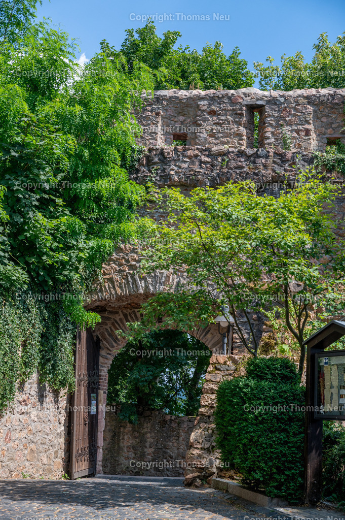 DSC_0699 | Schloss Auerbach,  Burgruine an der Hessischen Bergstraße im Bensheimer Stadtteil Auerbach,  Bild: Thomas Neu