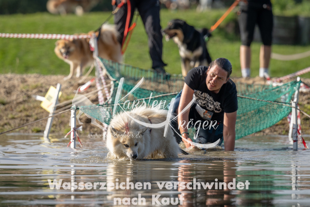 1133_ZZ93282 | kk-dogfotos