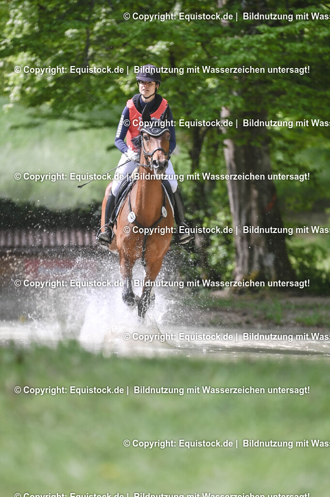 20250517_CCI2_Gelände_1084 | Foto: Thomas Hartig