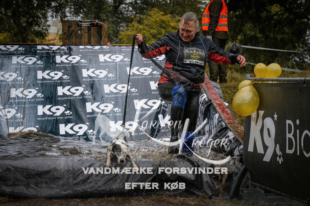 1205_ZZ94310 | kk-dogfotos