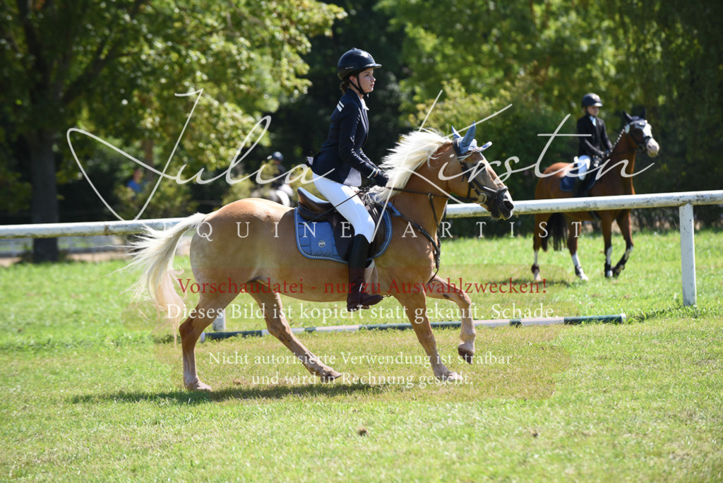 DSC_9630 | Pferde- und Turnierfotografie in Westsachsen. Pferdeportraits, Auftragszeichnungen und intuitive Kunst.