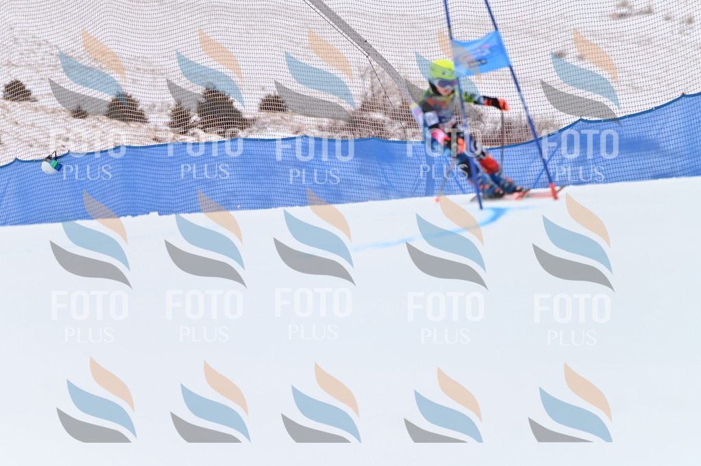 BGV_2663 | holidayphoto