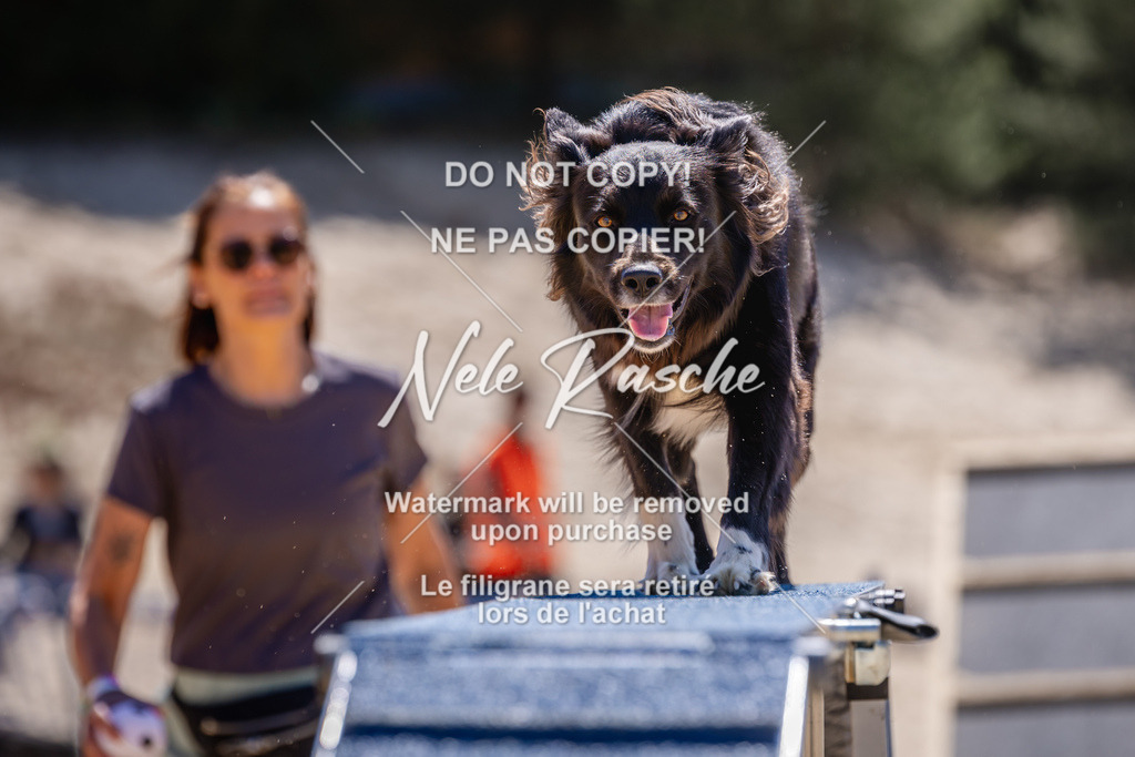 NR__1741 | nelerasche