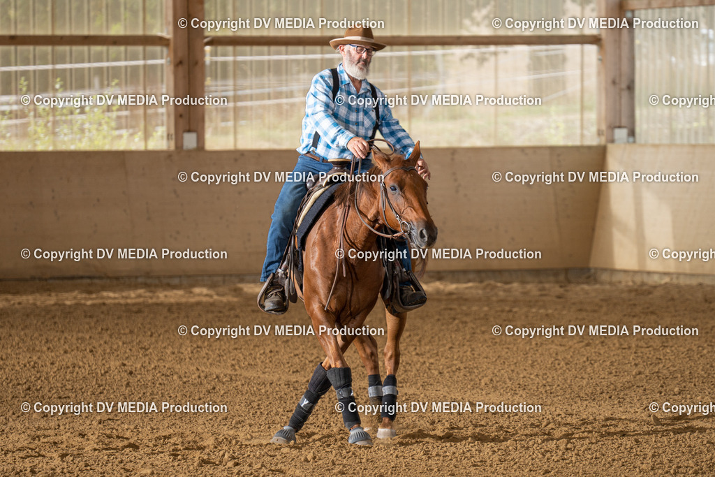 LAU01676 | dv-media-shop - Realisiert mit Pictrs.com