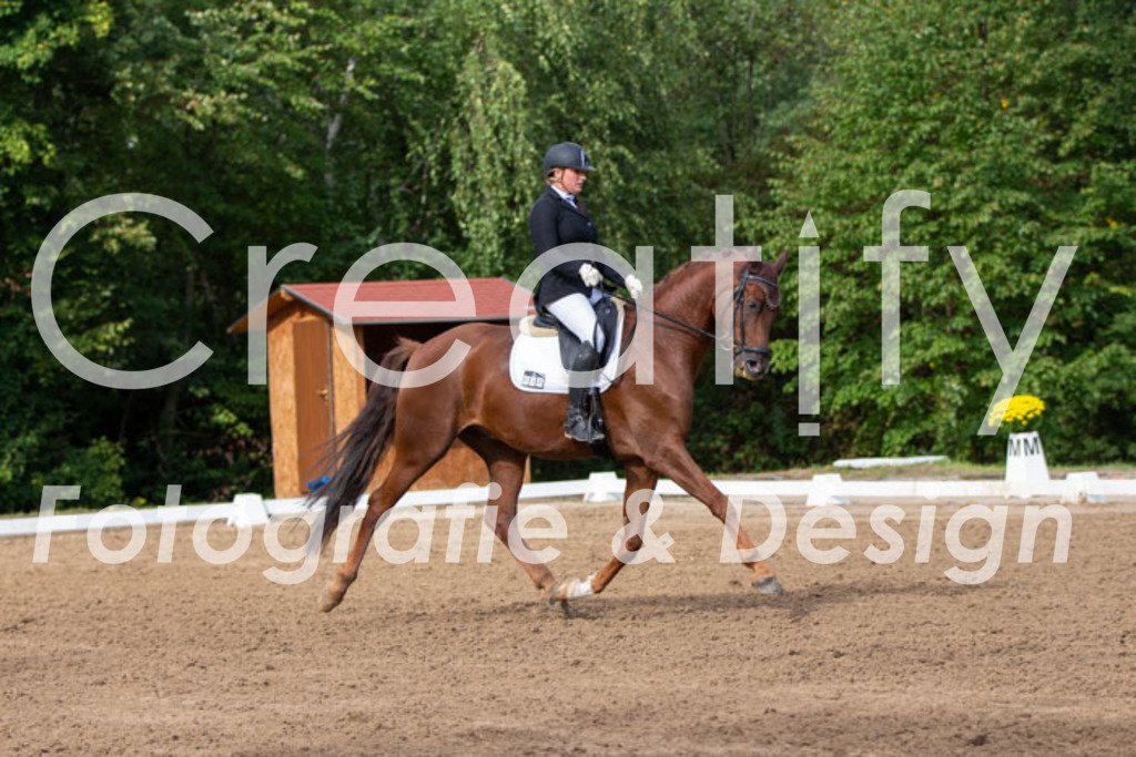 IMG_3752 | Creatify Fotografie