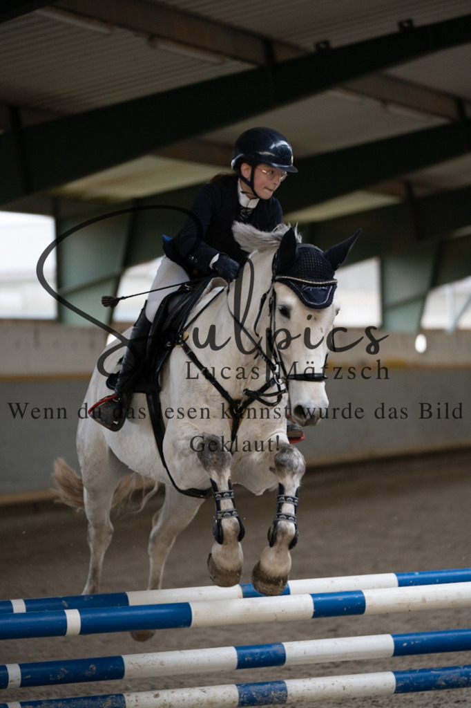 A7V07159 | Pferdefotograf