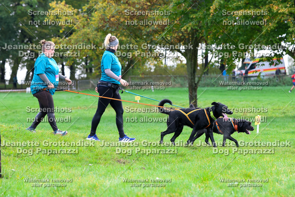 Dog Paparazzi -  SD1026-2148 | Dog Paparazzi Jeanette Grottendiek Fotografie & Videografie - Realisiert mit Pictrs.com