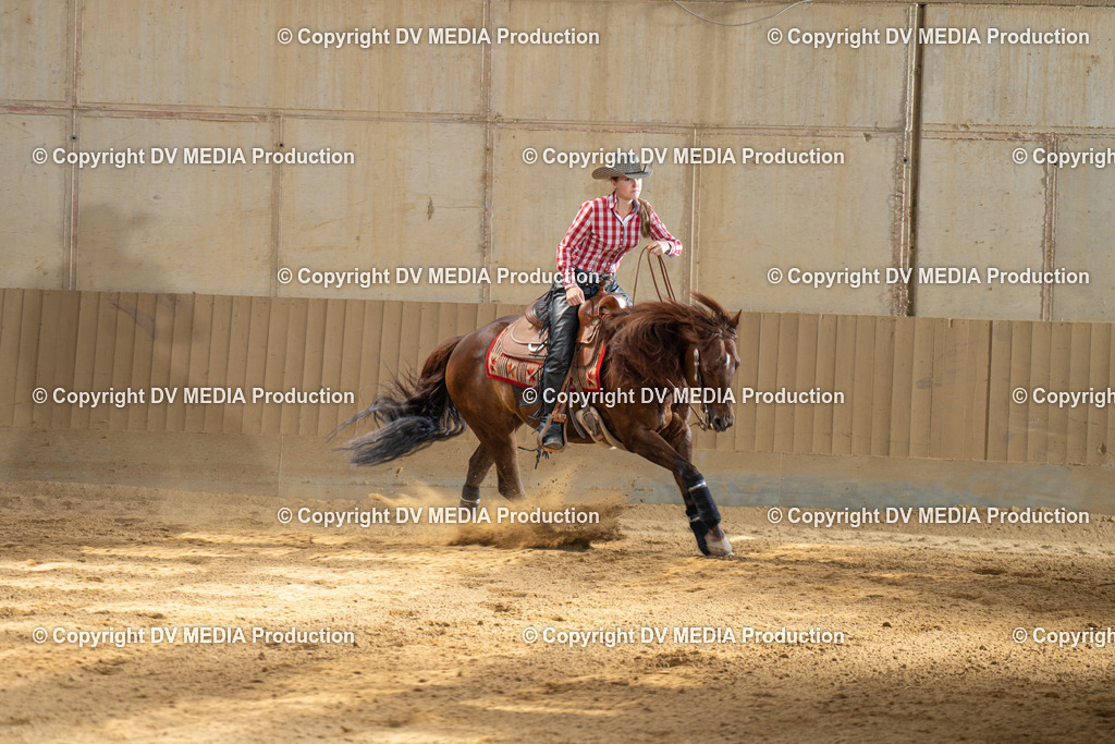 DSC00075 | dv-media-shop - Realisiert mit Pictrs.com