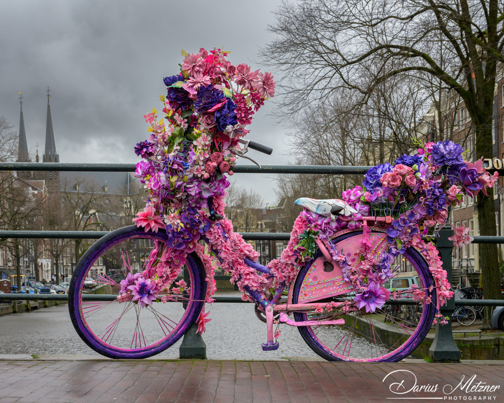 _DSC3764 | Fotografien, Fotos und Bilder aus Mainz, Frankfurt, Wiesbaden und anderen Orten auf der Welt - Fotografiert von Darius Metzner