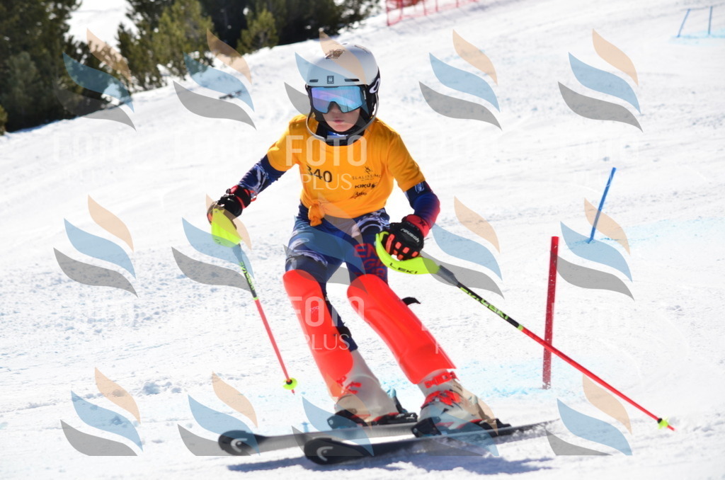 C9726 | holidayphoto