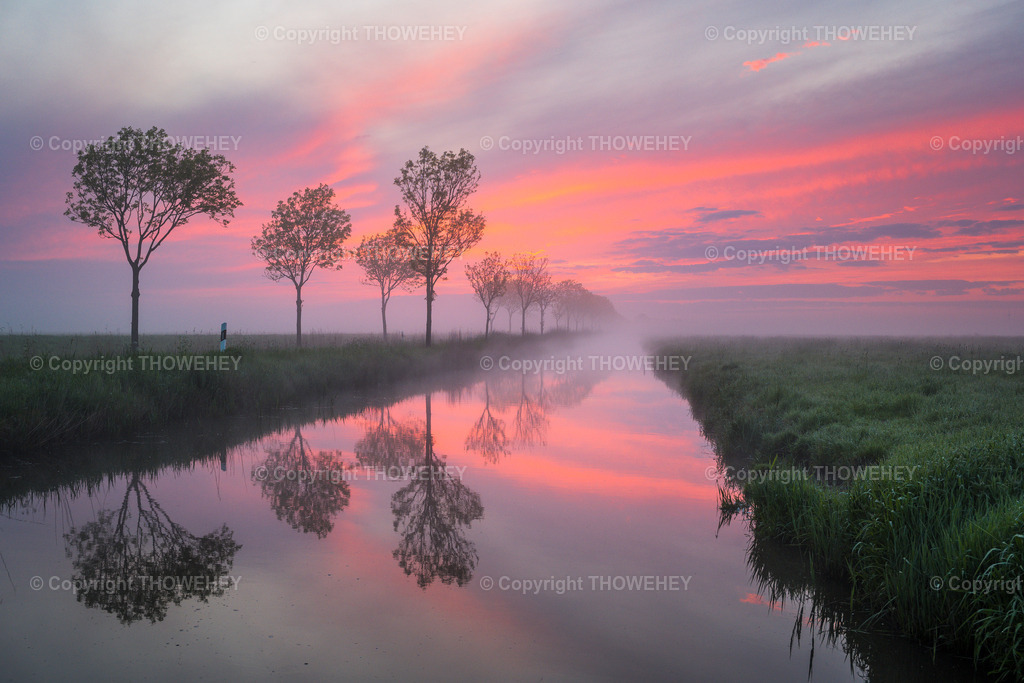 _1035693 | thowehey - Realisiert mit Pictrs.com