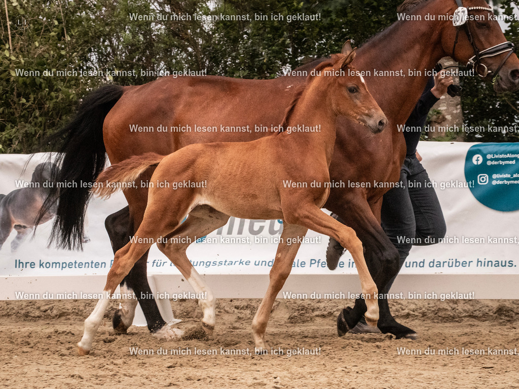 A10I5774 | photographylinaismer - Realisiert mit Pictrs.com