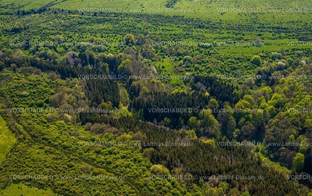Schleiden240502192DreibornerHochfläche | Luftbild, Waldgebiet und Dreiborner Hochfläche Naturschutzgebiet NSG zwischen Scheuren und Dreiborn, Waldstück und Wiesen im Nationalpark Eifel, Dreiborn, Schleiden, Nordrhein-Westfalen, Deutschland