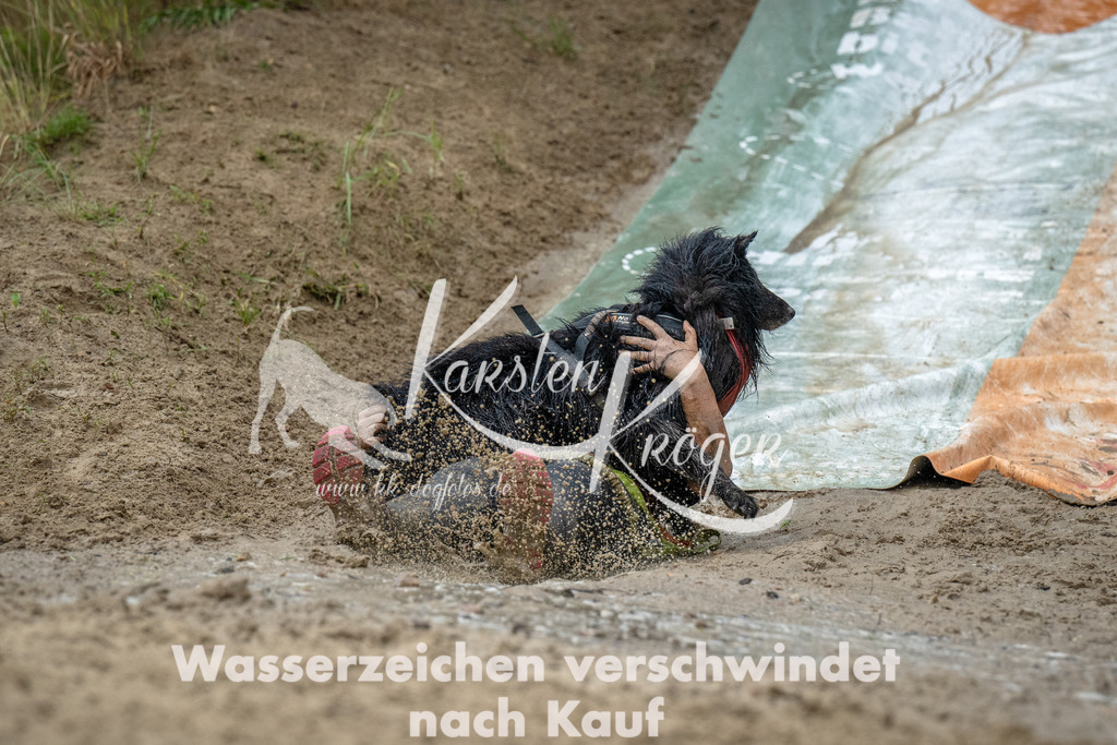 1234_ZZ93394-Bearbeitet | kk-dogfotos