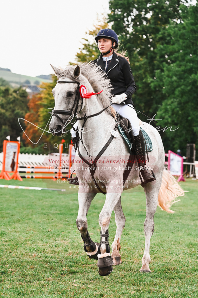DSC_6713 | Pferde- und Turnierfotografie in Westsachsen. Pferdeportraits, Auftragszeichnungen und intuitive Kunst.