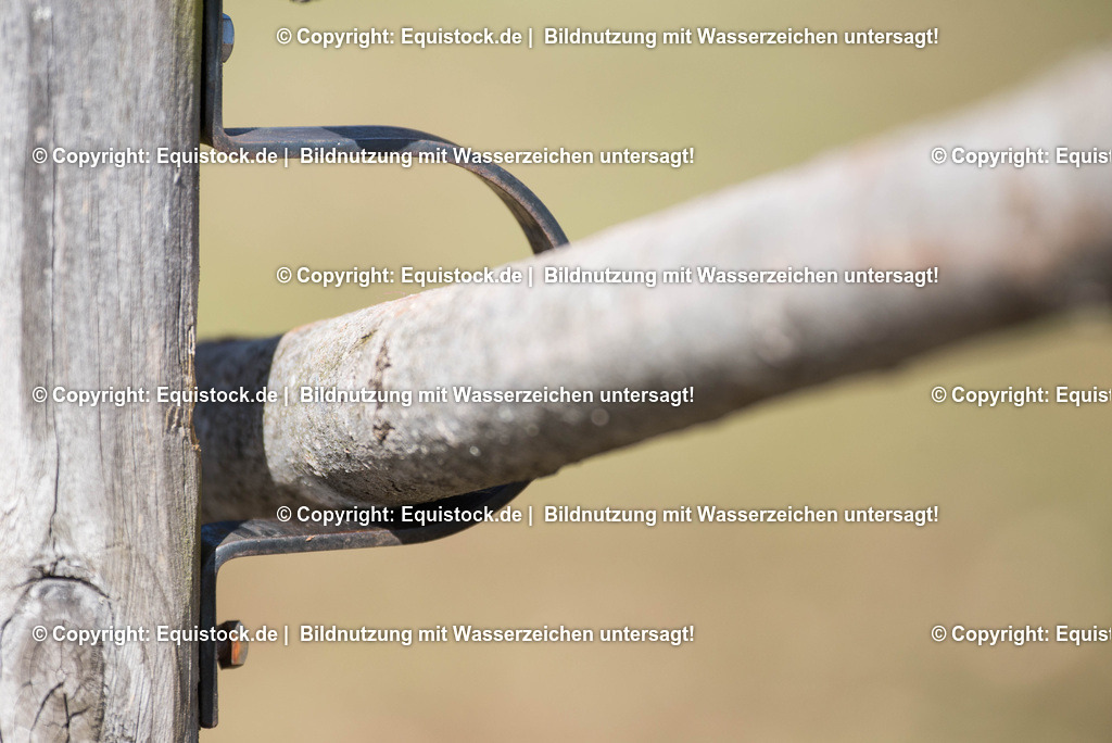 20170312_Koppelzaun_0012 | equistock