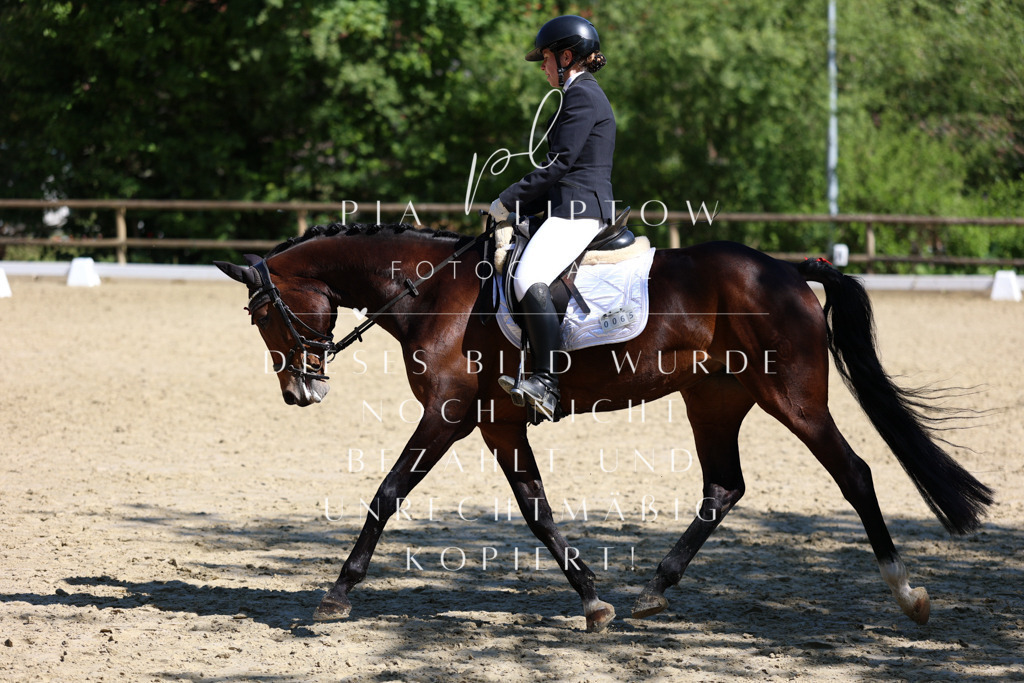 IMGT0585 | pl-fotografie