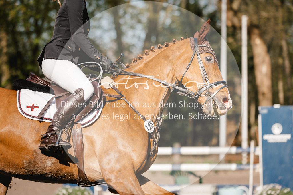 3I6A3603 | Stimmungsvolle Portraits und Reitsportfotografie im Ruhrgebiet und im Münsterland.

Pferdefotografie, Hundefotografie, Tierfotografie, Reportagen, Portraits von Tier und Mensch, Turnierfotografie in Bochum, Recklinghausen, Marl, Haltern am See, Dülmen.. - Realisiert mit Pictrs.com