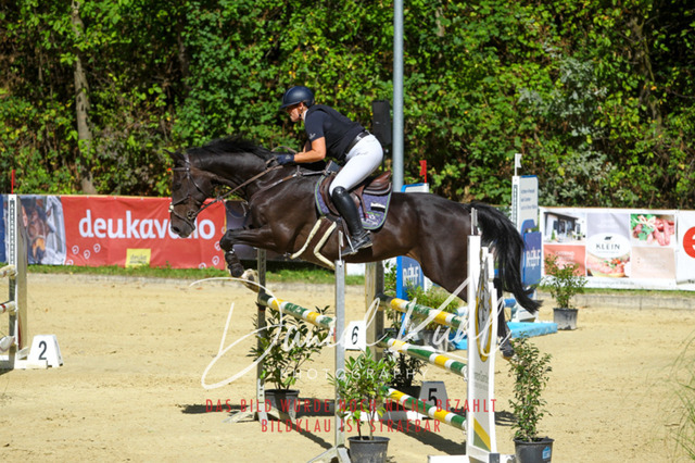 DKP43277 | Turniersportfotografie; Pferdefotografie; Dressurfotografie