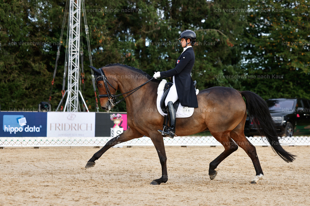 13-186-S___ -StoibPH-7020 | working equitationturnier fotograf videograf stoibphotography marixx film working equitation deutschland reitsport turnierfotografie eventfotografie equestrian events