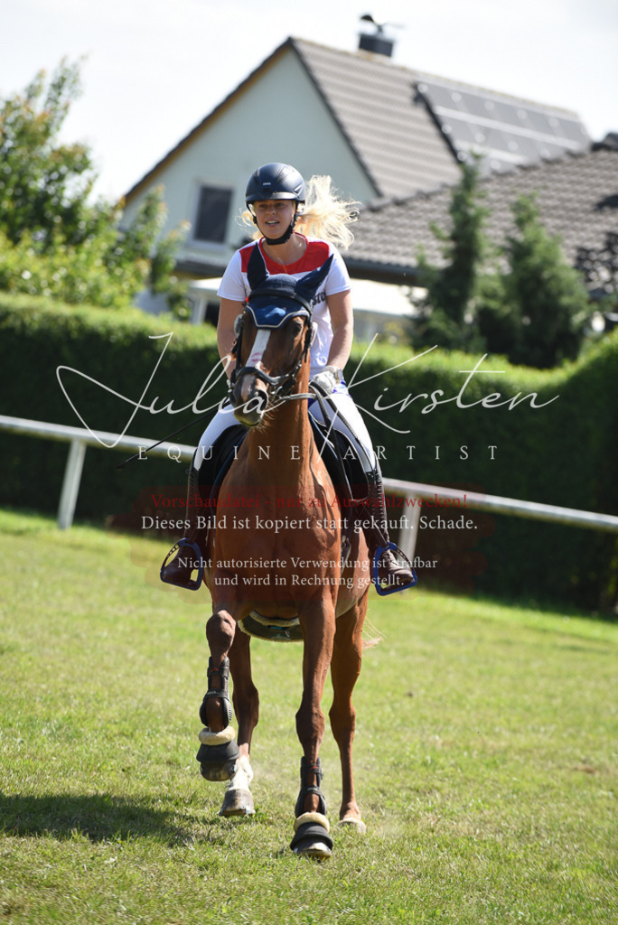 DSC_0328 | Pferde- und Turnierfotografie in Westsachsen. Pferdeportraits, Auftragszeichnungen und intuitive Kunst.
