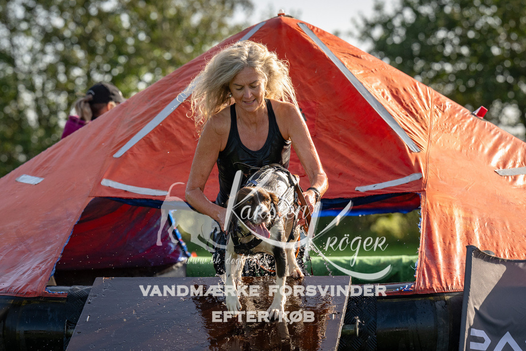 1114-91868 | kk-dogfotos