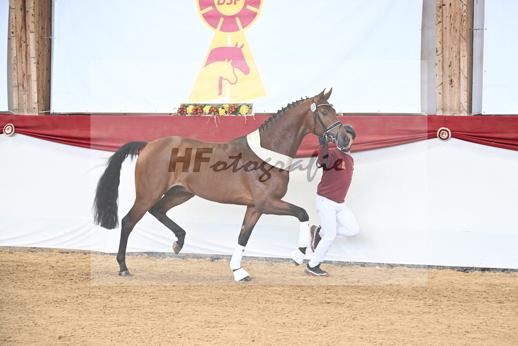 Kat.-Nr. 89 v. Zackerey_Ramsbrock_3265558 | hf-fotografie - Realisiert mit Pictrs.com