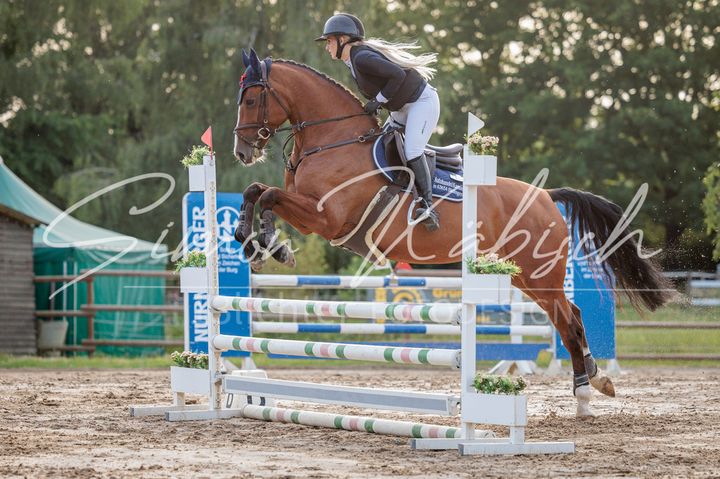 20260529-_3LI1557 | Tierfotografie Pferde, Hunde, Katzen, Haustiere.
Turnierfotografie Reitturniere, Reiten, Springreiten, Dressur in Hanau, dem Main-Kinzig-Kreis und dem Rhein-Main- Gebiet um Frankfurt