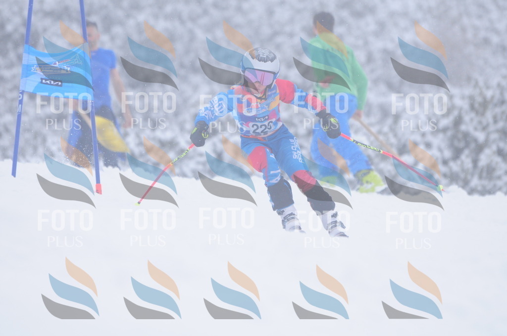 C2339 | holidayphoto