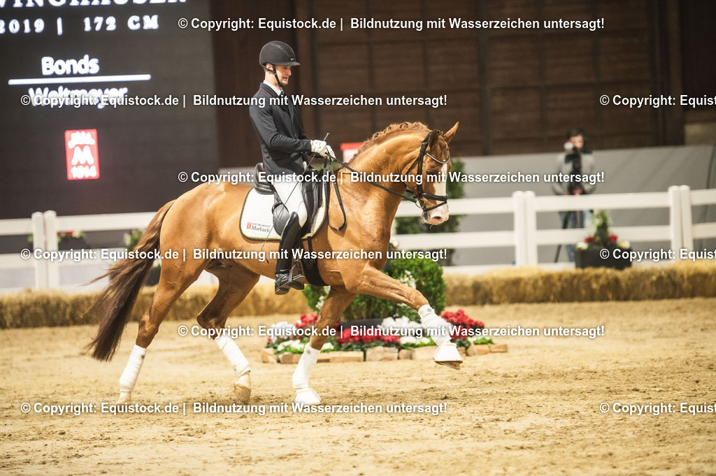 20240302_Hengstvorstellung_Marbach_TOMsPiC_0582-2 | equistock