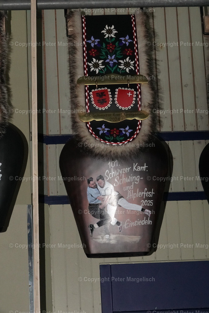 DSC00827 | Schwingen - Realisiert mit Pictrs.com