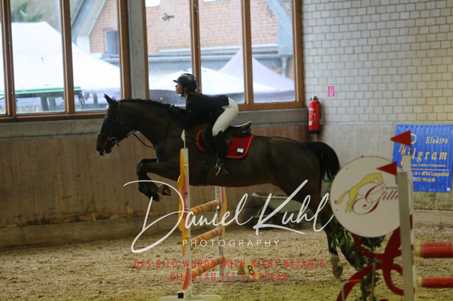 IMG_0789 | Deine Turnierfotos vom Reitturnier online kaufen: Dressur, Springen & Siegerehrung. Professionelle Pferdefotografie aus dem Rheinland – als Download & Print.Alternative: Turnierfotograf für den Pferdesport: Finde deine Fotos von Dressur- und Springturnier