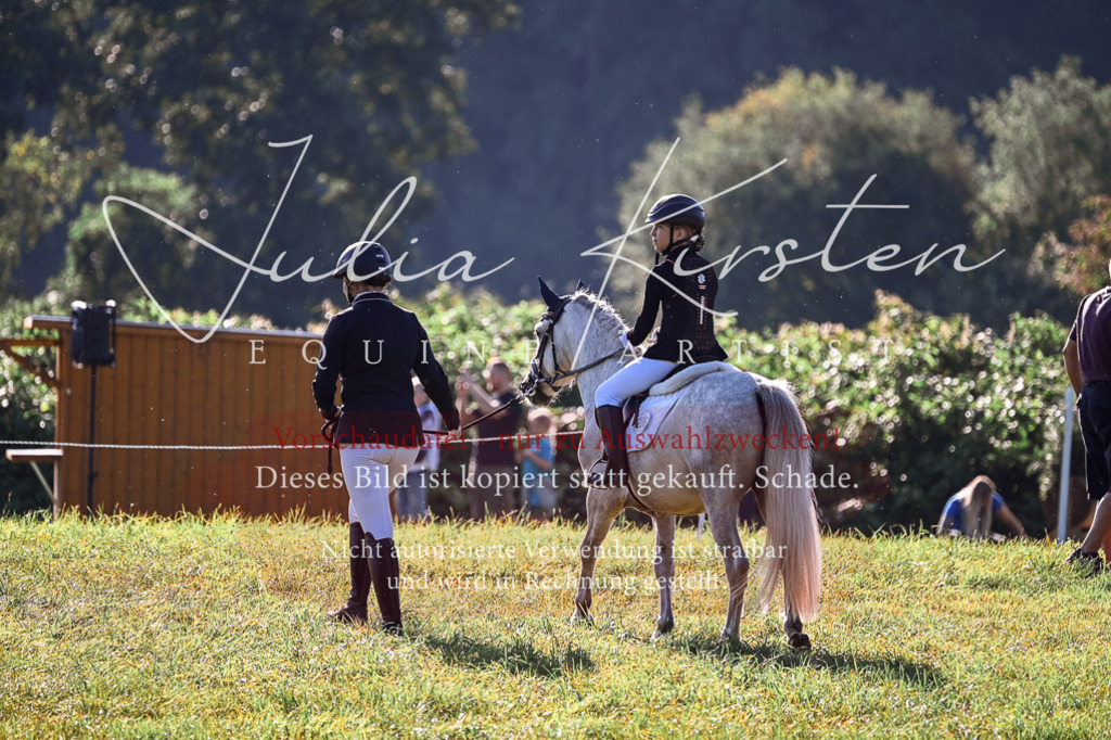 DSC_0425 | Pferde- und Turnierfotografie in Westsachsen. Pferdeportraits, Auftragszeichnungen und intuitive Kunst.